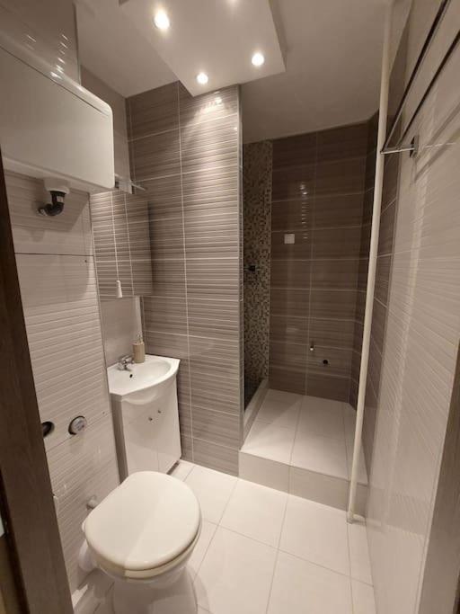 Erzsebet Apartman, Free Parking Будапешт Екстер'єр фото